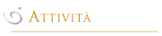 Attivit�